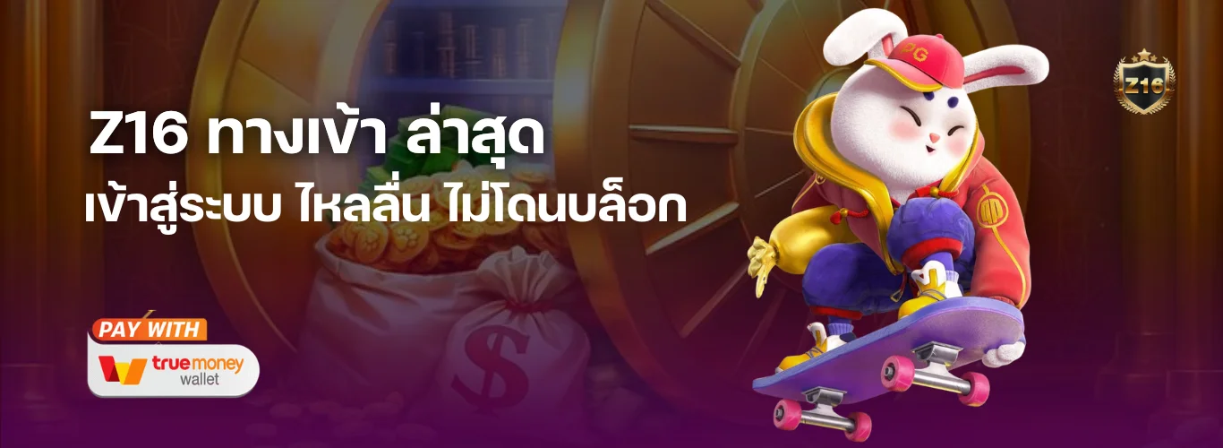 Z16 ทางเข้า